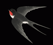 要求：担任公司车间统计、材料发放及领用；分